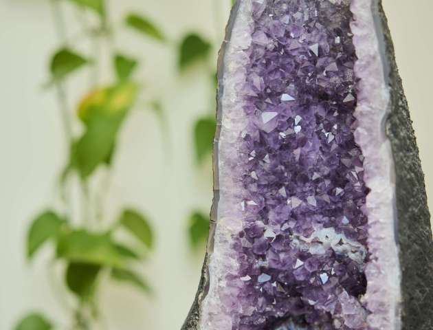 2025.04.11 FISIAS 122